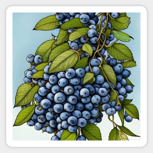 Fresh Blueberries Sticker